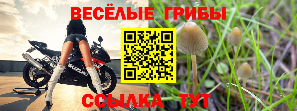 Галлюциногенные грибы Psilocybine cubensis  Вход с VPN  Павловский Посад  Галлюциногенные грибы мухоморы 