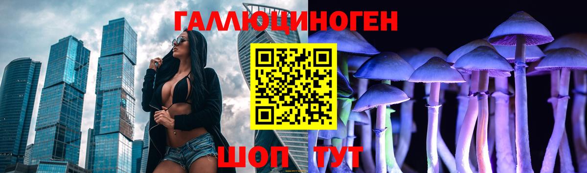Псилоцибиновые грибы прущие грибы Павловский Посад
